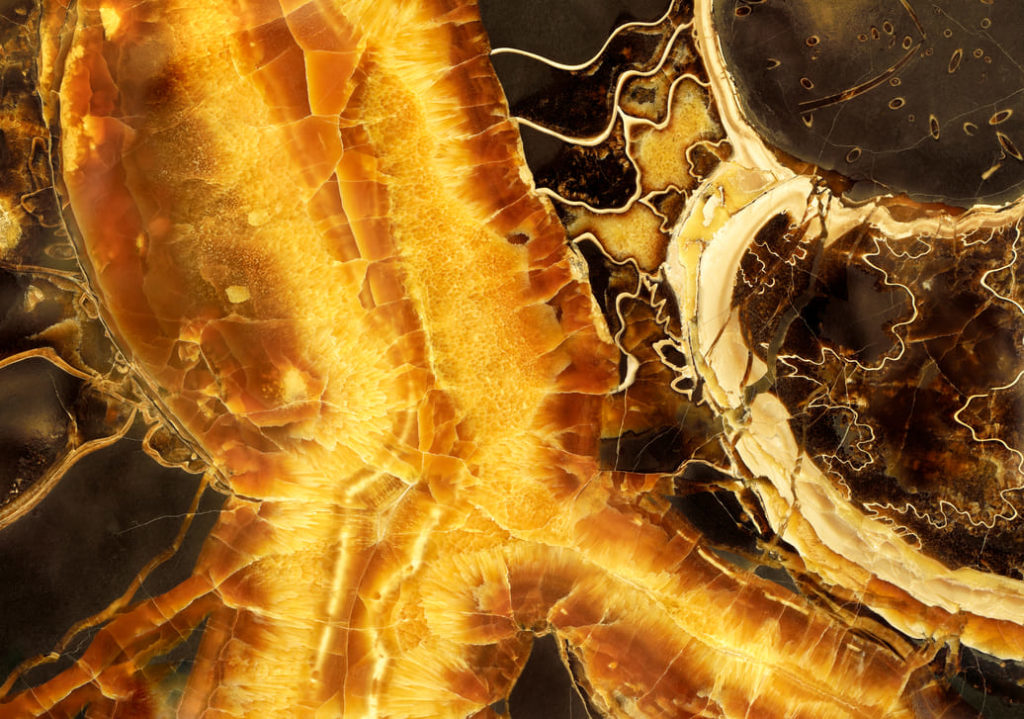 schemat-ukladu-limfatycznego-czlowieka