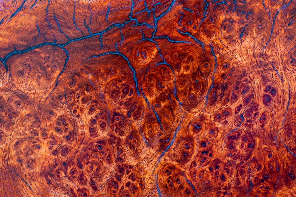 zdjecie-naczynia-krwionosnego