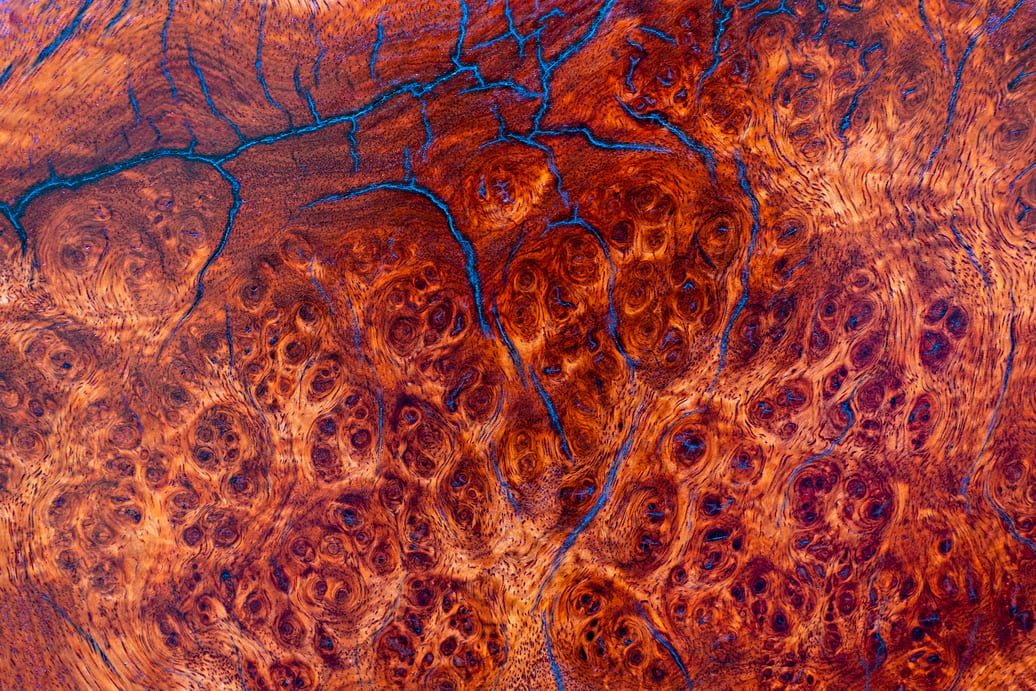 zdjecie-naczynia-krwionosnego