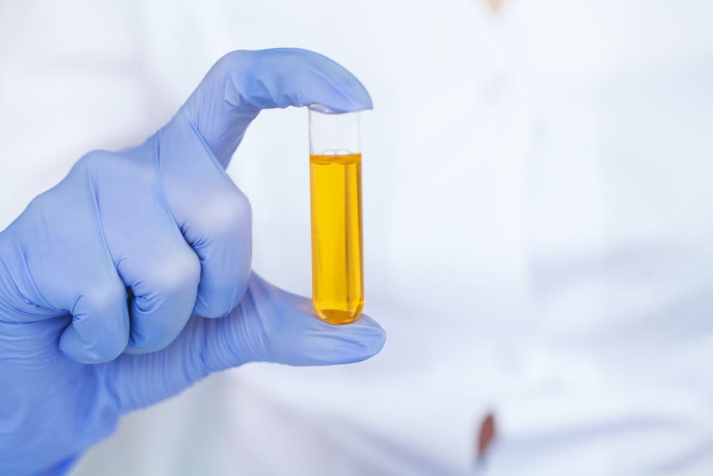 W 1957 roku odkryto koenzym Q10 który jak się okazało wytwarza energię w komórkach organizmu.